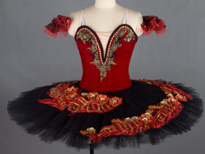 Firebird costume - amazing costume for shows and competitions