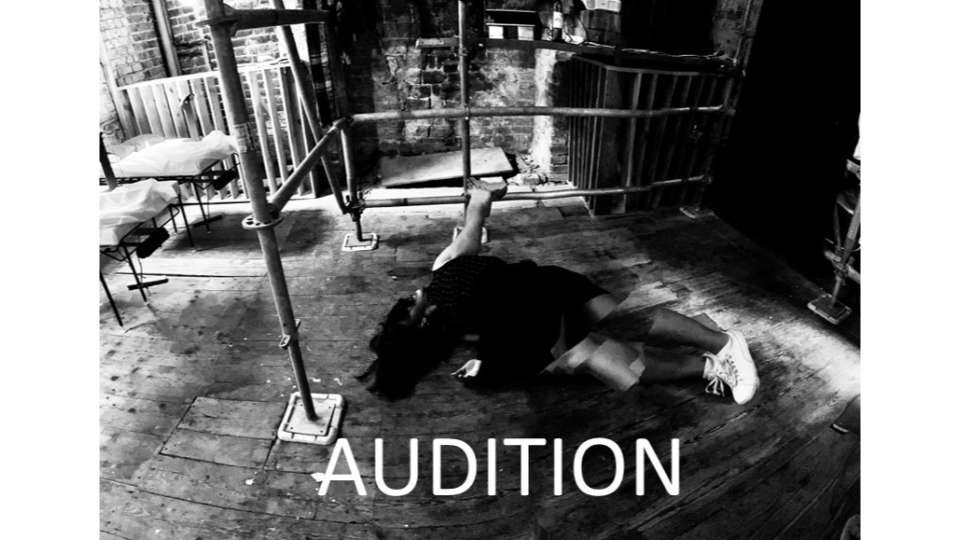 Audition notice - new research BY VANESSA MARIA MIRZA