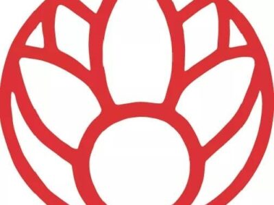 Chassé Dance Studios - Pop-up classes