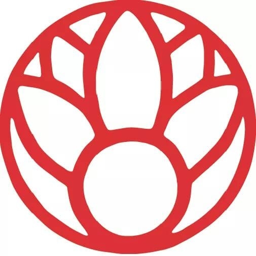 Chassé Dance Studios - Pop-up classes