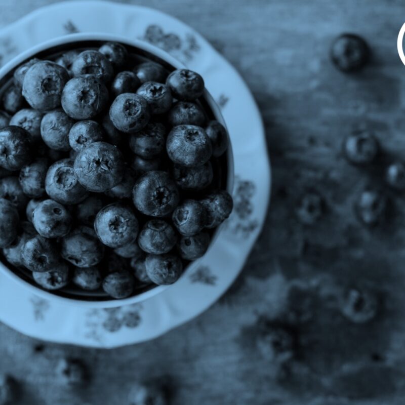 GGV Nutrición (Guillermo Gómez Vera) - Dancer Nutrition